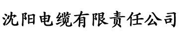 人妻互换精品一区二区电缆厂logo